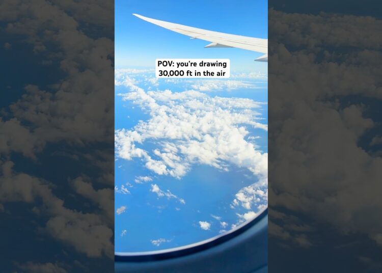 i drew 30,000 ft in the air #art #artist #draw #drawing