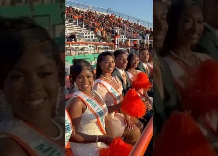 FAMU Royalty 🧡💚👑🐍