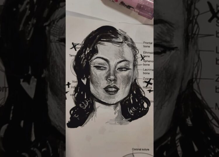 POV: you’re an artist in medical school ☠️✨#shalomharlow #creative