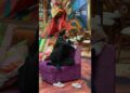 Nehal & Baseer Gossip About Zeishan | Bigg Boss 19 | Now Streaming | JioHotstar