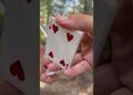 Cards #cardistry #cards #cardtrick #magician #tricks #magic #magictrick #art #artist #skills