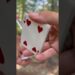 Cards #cardistry #cards #cardtrick #magician #tricks #magic #magictrick #art #artist #skills