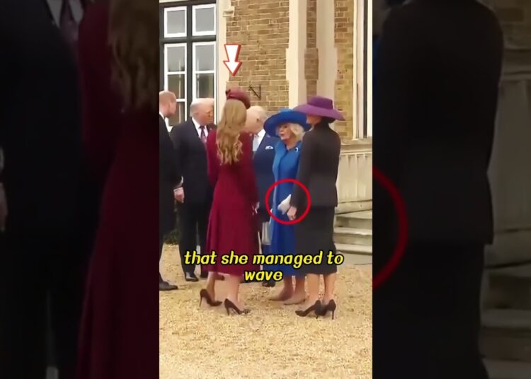 Melania keeps ignoring Camilla #actor #entertainment #celebrity