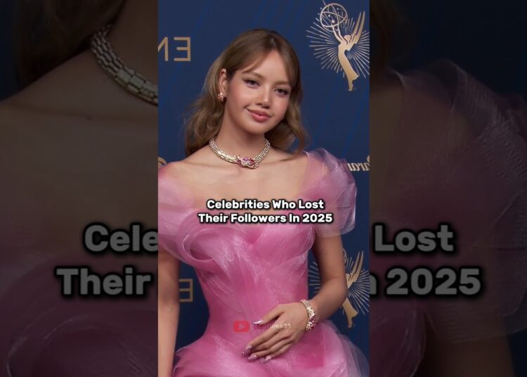 Celebrities who lost their followers in 2025