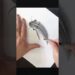 Easy Fish Drawing Secrets Nobody Tells You  #drawing #beginnerarttips #art #sketch #pencildrawing