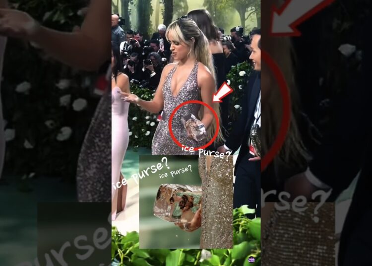 You Won’t Believe These INSANE Celebrity Mishaps at the Met Gala
