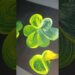paint #art #youtubeshorts #artandcraft #viral #diy #shorts #trending #artist