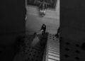 Egzod & Maestro Chives ft. Neoni – Royalty (Lyrics) | “They’ll be calling me royalty” | Aesthetic
