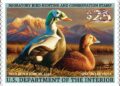 2025 Federal Duck Stamp Art Contest – Day 1
