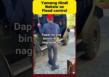 Bilyonario hindi nagnanakaw💪 #shortvideo #shorts #floodcontrol #celebrity #memes #mannypacquiao