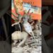 Durga Puja murti idol #durgapuja #maadurga #navratri #navratrispecial #artist #hajipur #pawansingh