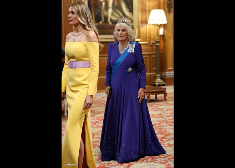 The Queen lacks confidence #camilla #melaniatrump #royal