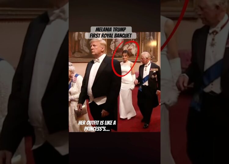 Wondering what #melaniatrump’s like during their first royal banquet?  #trump #royalfamil