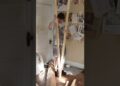 Painting a mom who was murdered by her son (clip 5) #art #artist #painting