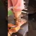 trick for leg mehandi#viralvideo #mehndi #henna #mehandi #art #artist