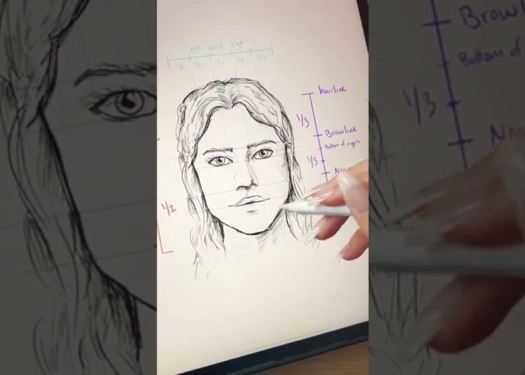 Basics of Face Proportions! #arttips #drawing #artist #drawingtutorial