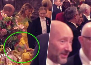 Chivalry at Windsor! Prince William’s Gracious Gesture Toward Melania Sparks Buzz – Royal Insider