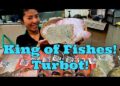 Turbot! The fish for Royalty! (25 Sep 2025 Thurs)
