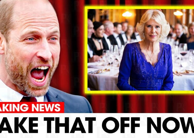 William EXPLODES After Camilla Wears Catherine’s Gown at Royal Banquet