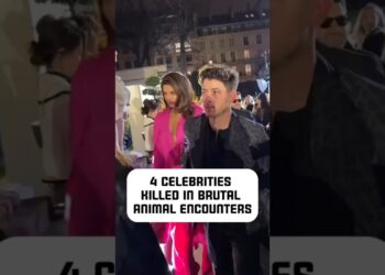 4 celebs hilled in brutal animal encounters #celebrity #celebritynews #celebrities #hollywood