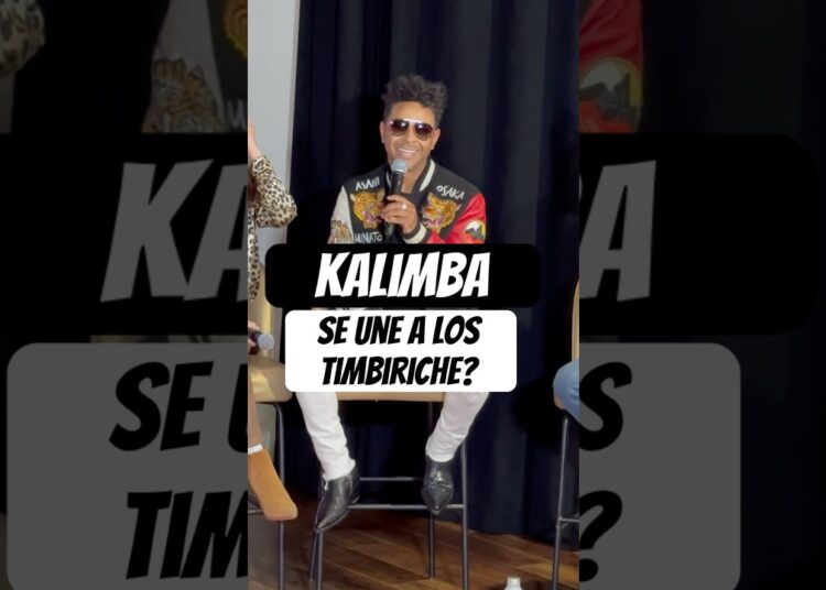 #Kalimba #timbiriche #pop #dueto #music #mexico #artista #grupo #mexico #concierto