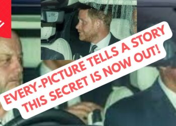 THE SECRET BEHIND THE PICTURE – HARRY’S DESPERATE STANCE #meghanmarkle #princeharrry #royal
