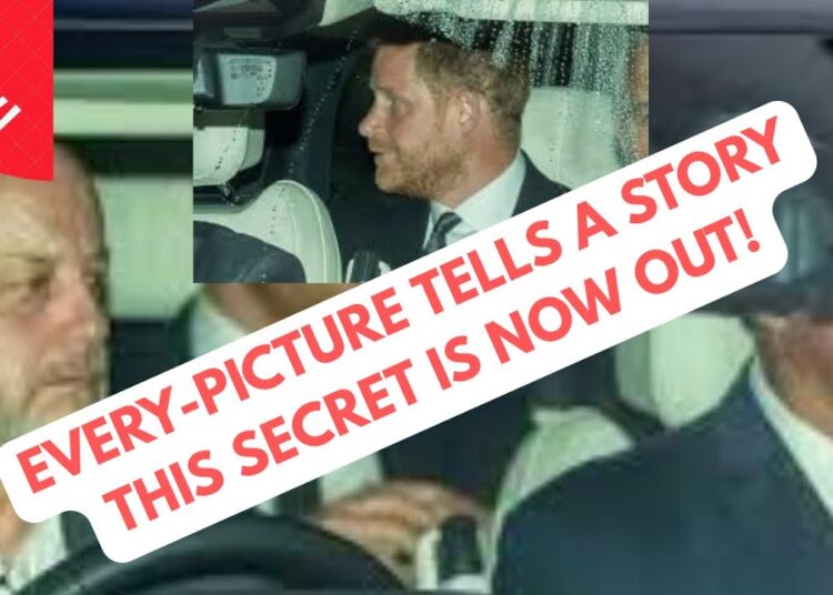 THE SECRET BEHIND THE PICTURE – HARRY’S DESPERATE STANCE #meghanmarkle #princeharrry #royal