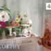 HOUSE TOUR | The Art-Filled Home & Stunning Garden of a Paper Botanical Artist | 4K