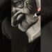 One of my most Hyper Realistic Drawing😍😍
