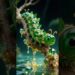 Beautiful Centipede #ai #art #artwork #artist #animals #animal #shorts #shortsfeed #shortvideo