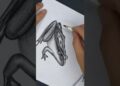 Easy Secret to Drawing Realistic Frog #drawing #beginnerarttips #art #sketch #frog