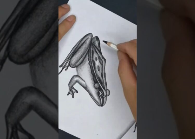 Easy Secret to Drawing Realistic Frog #drawing #beginnerarttips #art #sketch #frog