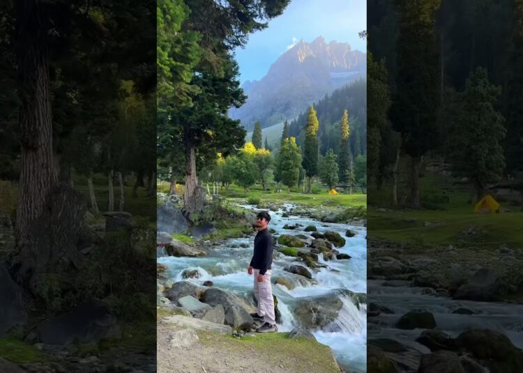 Rate these views out of 10? #music #song #bollywood #love #coversong #bollywoodhits #bollywoodsongs