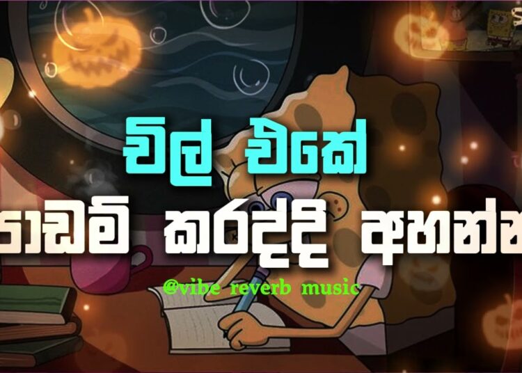 Chill Vibe සින්දු සෙට් එකක් | Chill Vibe Song Collection |😎🕺