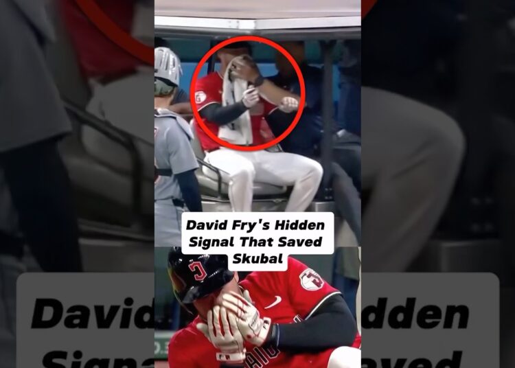 David Fry’s Hidden Signal That Saved Skubal#shorts #shortvideo #mlb #celebrity #baseball #sports