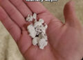 Bits of chewed gum rest in an open palm