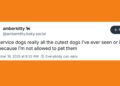 20 Of The Funniest Posts About Cats And Dogs This Week (Sept 13-19)