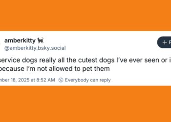 20 Of The Funniest Posts About Cats And Dogs This Week (Sept 13-19)