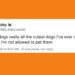 20 Of The Funniest Posts About Cats And Dogs This Week (Sept 13-19)