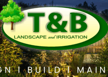T&B