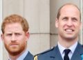 A Viral Prince Harry & Prince William’s Clip Has Resurfaced