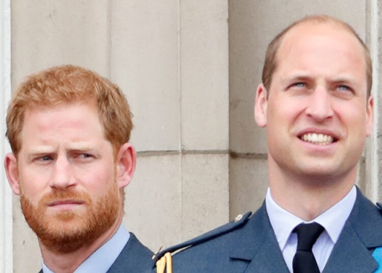 A Viral Prince Harry & Prince William’s Clip Has Resurfaced