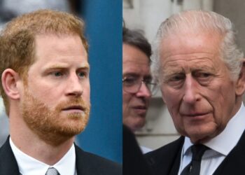 Prince Harry shifts ‘focus’ to King Charles following ‘positive’ royal reunion