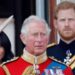 According to Mr Harrold, Meghan quickly found royal life underwhelming. Picture: Mumby/Indigo/Getty Images.