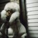British rapper, songwriter and producer Jim Legxacy released a mixtape, Black British Music (2025), that left our proverbial heads spinning.