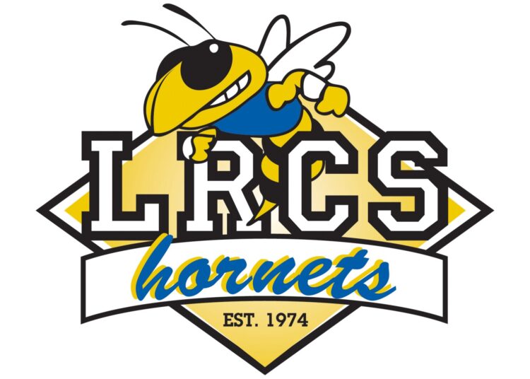 Area Volleyball: Hornets downed by Royals - Brainerd Dispatch