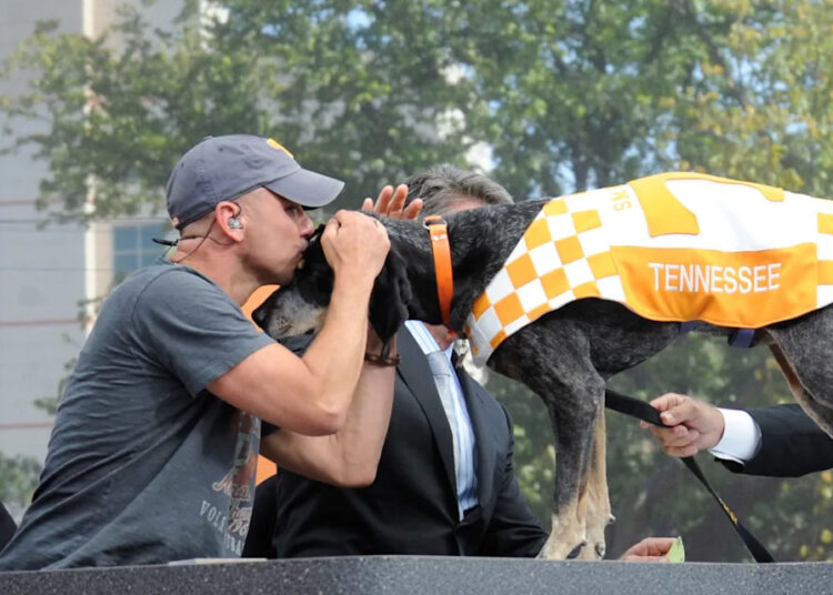 Kenny Chesney kisses UT football mascot "Smokey" during an ESPN College GameDay show on Saturday, Sept. 15, 2012. Chesney appeared as the guest game picker of the week.