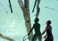 BMAC dance performance explores the politics of water access | Entertainment
