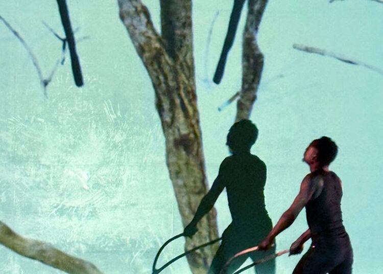 BMAC dance performance explores the politics of water access | Entertainment