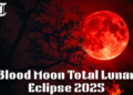 Blood Moon Total Lunar Eclipse 2025: Power horoscope for each zodiac sign(Freepik)